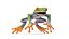 Red-Eyed Tree Frog