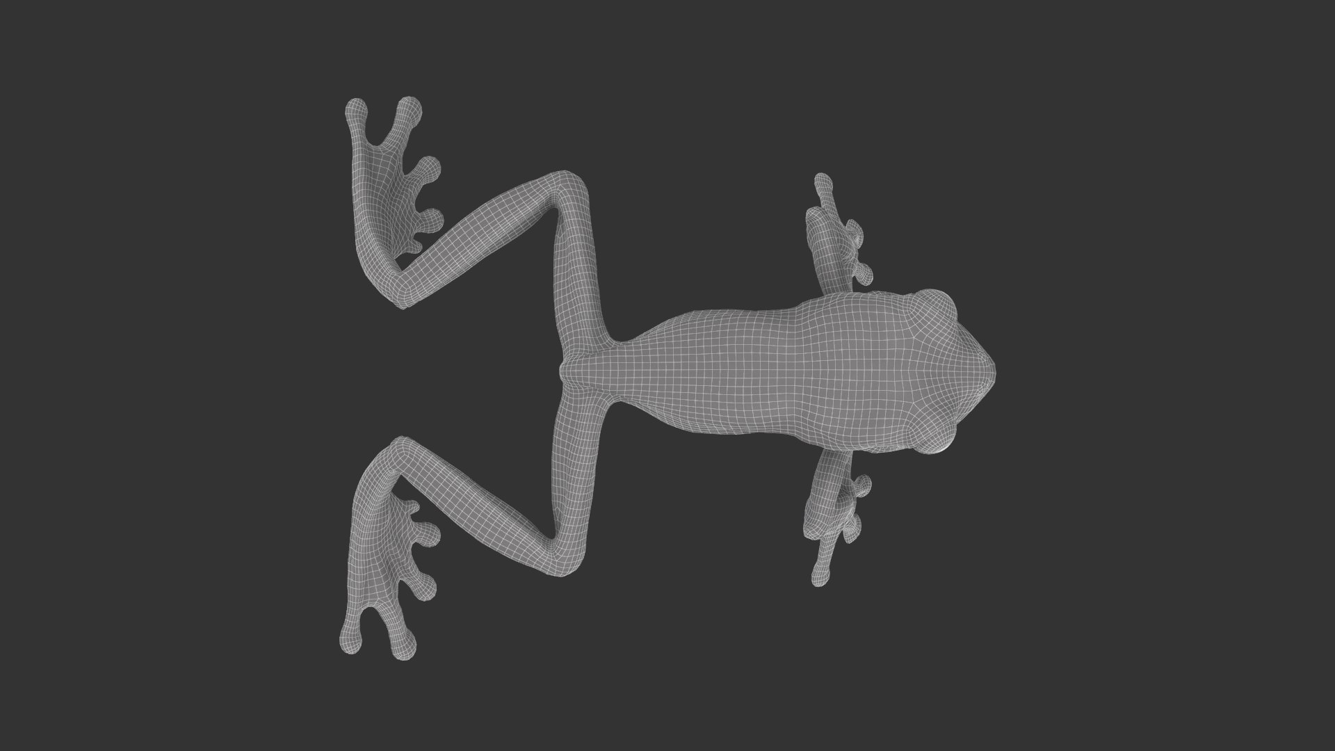 3D Red-Eyed Tree Frog https://p.turbosquid.com/ts-thumb/7y/d0bzVW/T0/red_eyed_frog_wired03/png/1672833082/1920x1080/fit_q87/5dfdac0d9e638ac38af5290fdd1f845160515bf4/red_eyed_frog_wired03.jpg