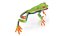 Red-Eyed Tree Frog