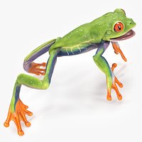 Red-Eyed Tree Frog