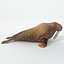16 Marine Animals Pack - Animal Collection