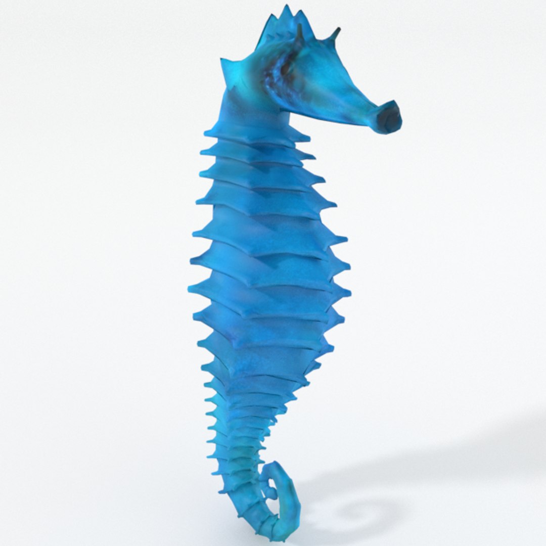 3D 16 marine animals model https://p.turbosquid.com/ts-thumb/7y/fXd0sS/1ZoKPMSy/seahorse_realistic/png/1536893227/1920x1080/fit_q87/e03334c6889dd857ee9ffc2a6ecfe64c62666e33/seahorse_realistic.jpg