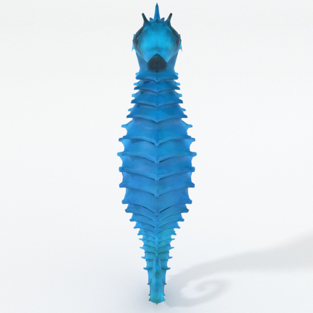 3D 16 marine animals model https://p.turbosquid.com/ts-thumb/7y/fXd0sS/4PbFKzev/seahorse_realistic_front/png/1536893227/1920x1080/fit_q87/1f142f4081e9eeebe78aeffe59852f95cd8bde53/seahorse_realistic_front.jpg