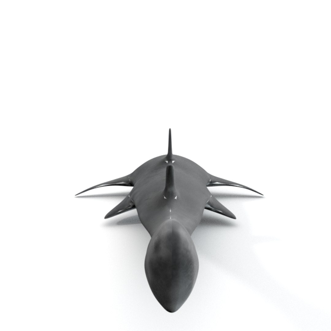3D 16 marine animals model https://p.turbosquid.com/ts-thumb/7y/fXd0sS/7u84S0sY/sawshark_realistic_back/png/1536893227/1920x1080/fit_q87/1fb558554ad8732f1abc300bfc52de0961045b7c/sawshark_realistic_back.jpg