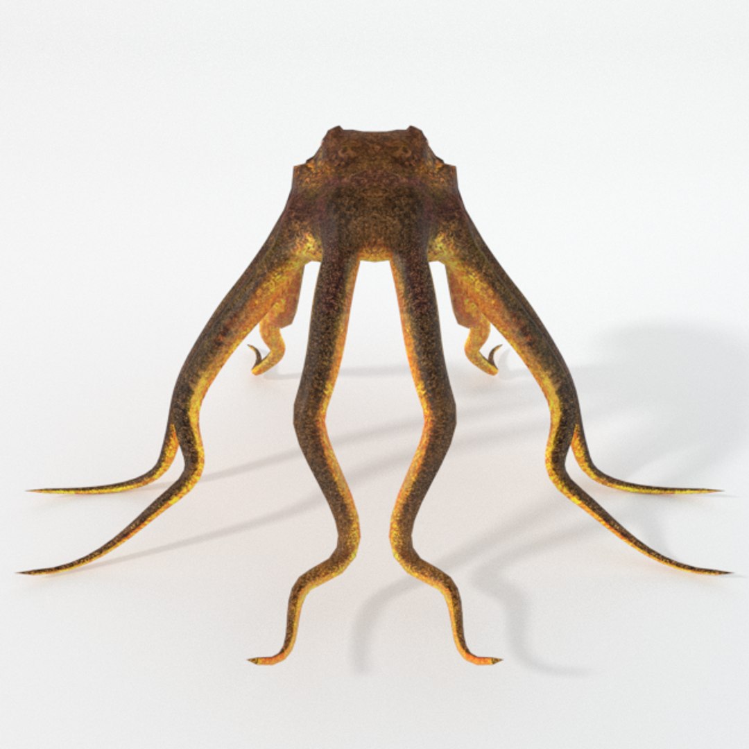 3D 16 marine animals model https://p.turbosquid.com/ts-thumb/7y/fXd0sS/BRNQsAq5/octopus_realistic_front/png/1536893226/1920x1080/fit_q87/c982c62724397cea697d3a0f2c6aea8092b0dec3/octopus_realistic_front.jpg