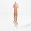 16 Marine Animals Pack - Animal Collection