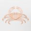 16 Marine Animals Pack - Animal Collection