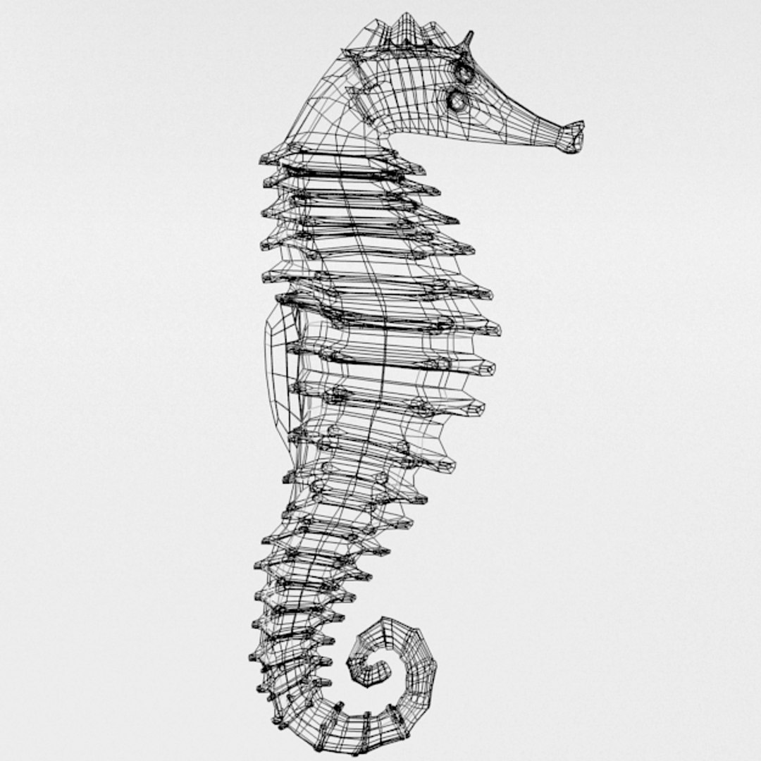 3D 16 marine animals model https://p.turbosquid.com/ts-thumb/7y/fXd0sS/IqqRJRoA/seahorse_realistic_side_wire/png/1536893227/1920x1080/fit_q87/4b7f063240e4c981916b147a2f021f5cf3f82e7c/seahorse_realistic_side_wire.jpg