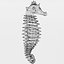 16 Marine Animals Pack - Animal Collection