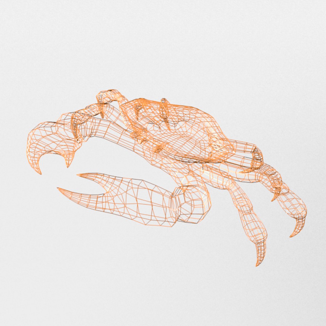 3D 16 marine animals model https://p.turbosquid.com/ts-thumb/7y/fXd0sS/Nf59om4d/crab_realistic_wire/png/1536893226/1920x1080/fit_q87/df1f952d97a4584f99f34a5330524d251154019a/crab_realistic_wire.jpg