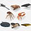 16 Marine Animals Pack - Animal Collection