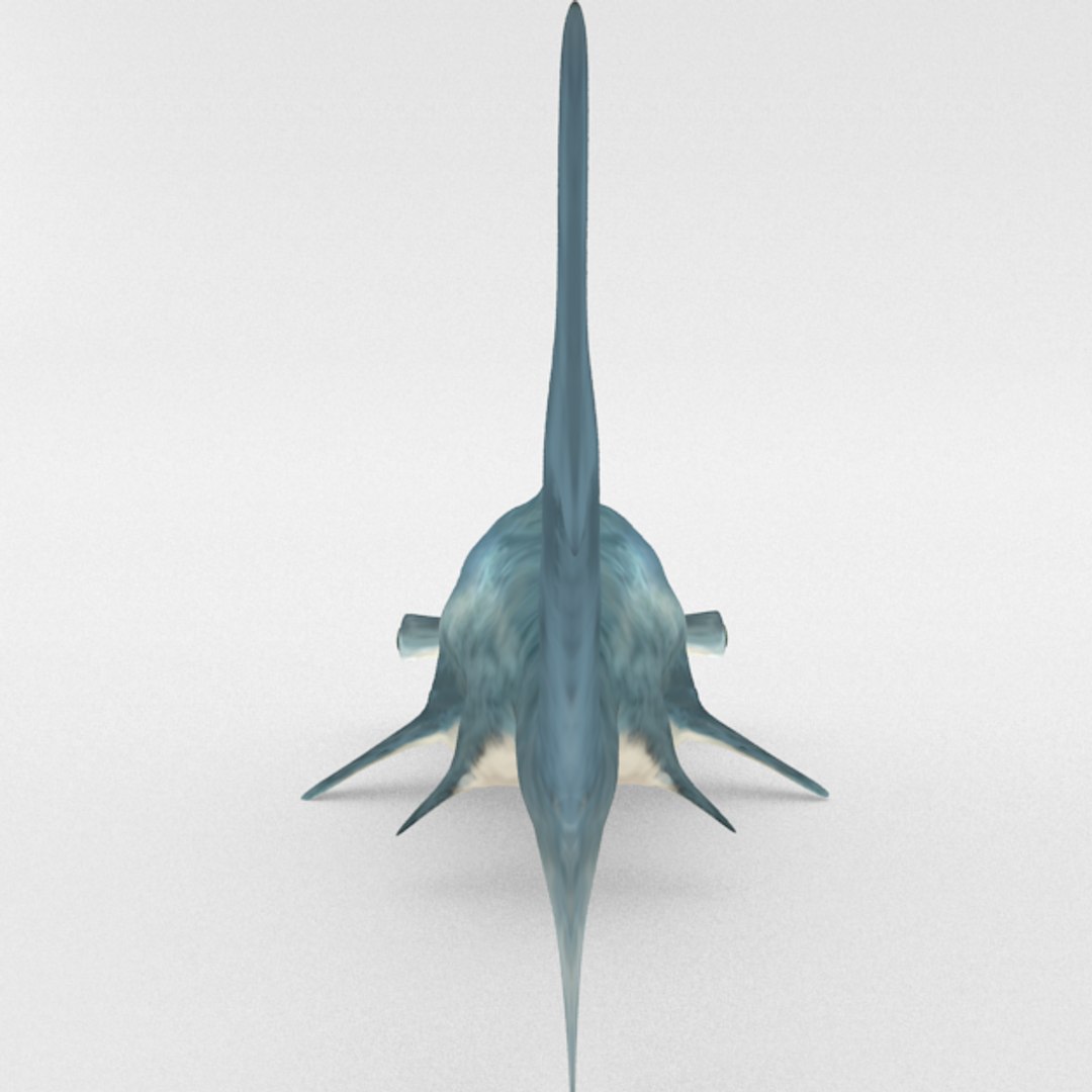 3D 16 marine animals model https://p.turbosquid.com/ts-thumb/7y/fXd0sS/QorsagAE/hammerheadshark_realistic_back/png/1536893226/1920x1080/fit_q87/c6b281052637ddc8e13f7aab3e4ca8343e6a5c78/hammerheadshark_realistic_back.jpg