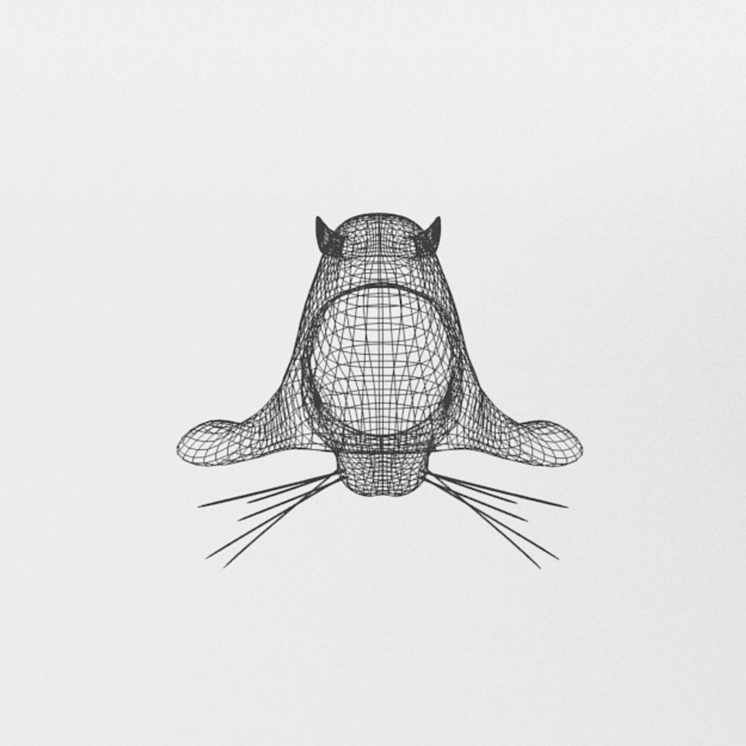 3D 16 marine animals model https://p.turbosquid.com/ts-thumb/7y/fXd0sS/QvRqchHF/seal_realistic_front_wire/png/1536893227/1920x1080/fit_q87/8b0c976c6369622a890d4e8b0cacc85132f70ab8/seal_realistic_front_wire.jpg