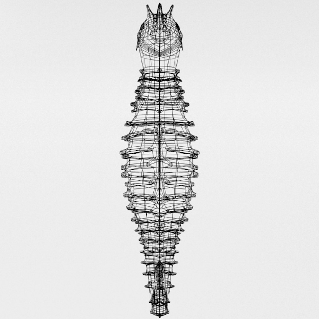 3D 16 marine animals model https://p.turbosquid.com/ts-thumb/7y/fXd0sS/RDjy9sfT/seahorse_realistic_front_wire/png/1536893227/1920x1080/fit_q87/da87853c5d1bf85d9387f51050a80e71201c4ade/seahorse_realistic_front_wire.jpg