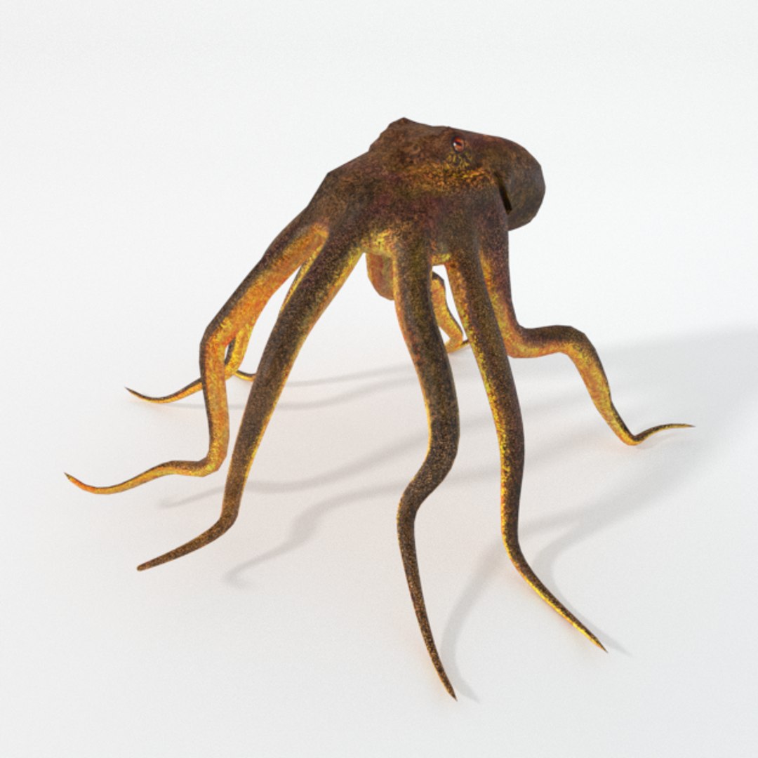 3D 16 marine animals model https://p.turbosquid.com/ts-thumb/7y/fXd0sS/RXiPFA1Q/octopus_realistic/png/1536893226/1920x1080/fit_q87/1f652ac97241b0cab6830e6117d1f7546f01ac1f/octopus_realistic.jpg