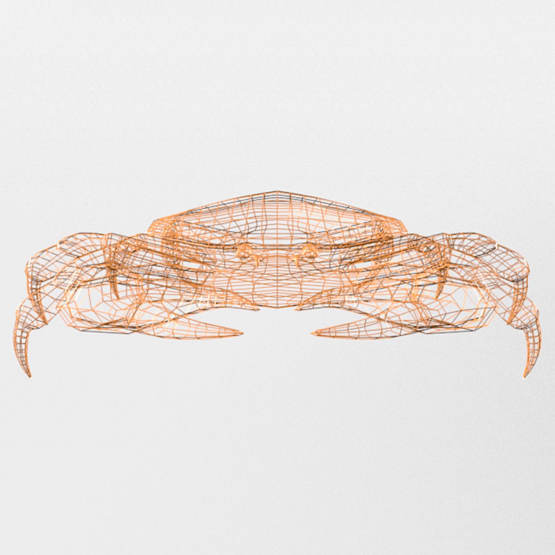 3D 16 marine animals model https://p.turbosquid.com/ts-thumb/7y/fXd0sS/RltPIb8j/crab_realistic_front_wire/png/1536893226/1920x1080/fit_q87/b209b88b7e3a0827f9d78a280a6e39e37fc28fd9/crab_realistic_front_wire.jpg