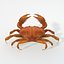 16 Marine Animals Pack - Animal Collection