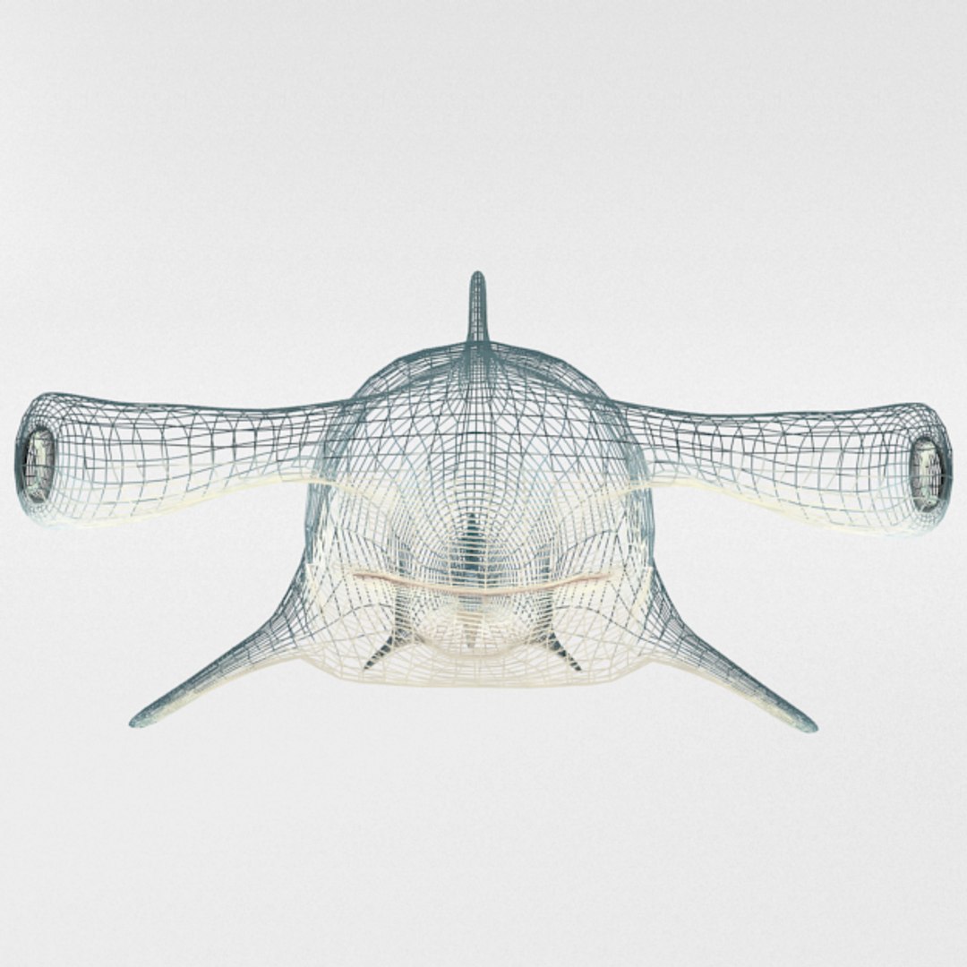 3D 16 marine animals model https://p.turbosquid.com/ts-thumb/7y/fXd0sS/SqFAcPXe/hammerheadshark_realistic_front_wire/png/1536893226/1920x1080/fit_q87/c63fa9e397e8b71ce7876ccc16261dc2cf9f6a29/hammerheadshark_realistic_front_wire.jpg