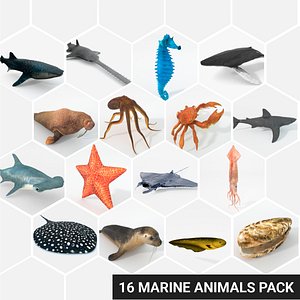 3D 16 marine animals model