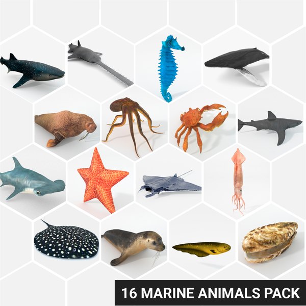 3D 16 marine animals model - TurboSquid 1325265
