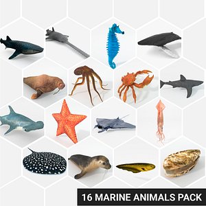 16 Marine Animals Pack - Animal Collection