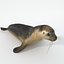 16 Marine Animals Pack - Animal Collection