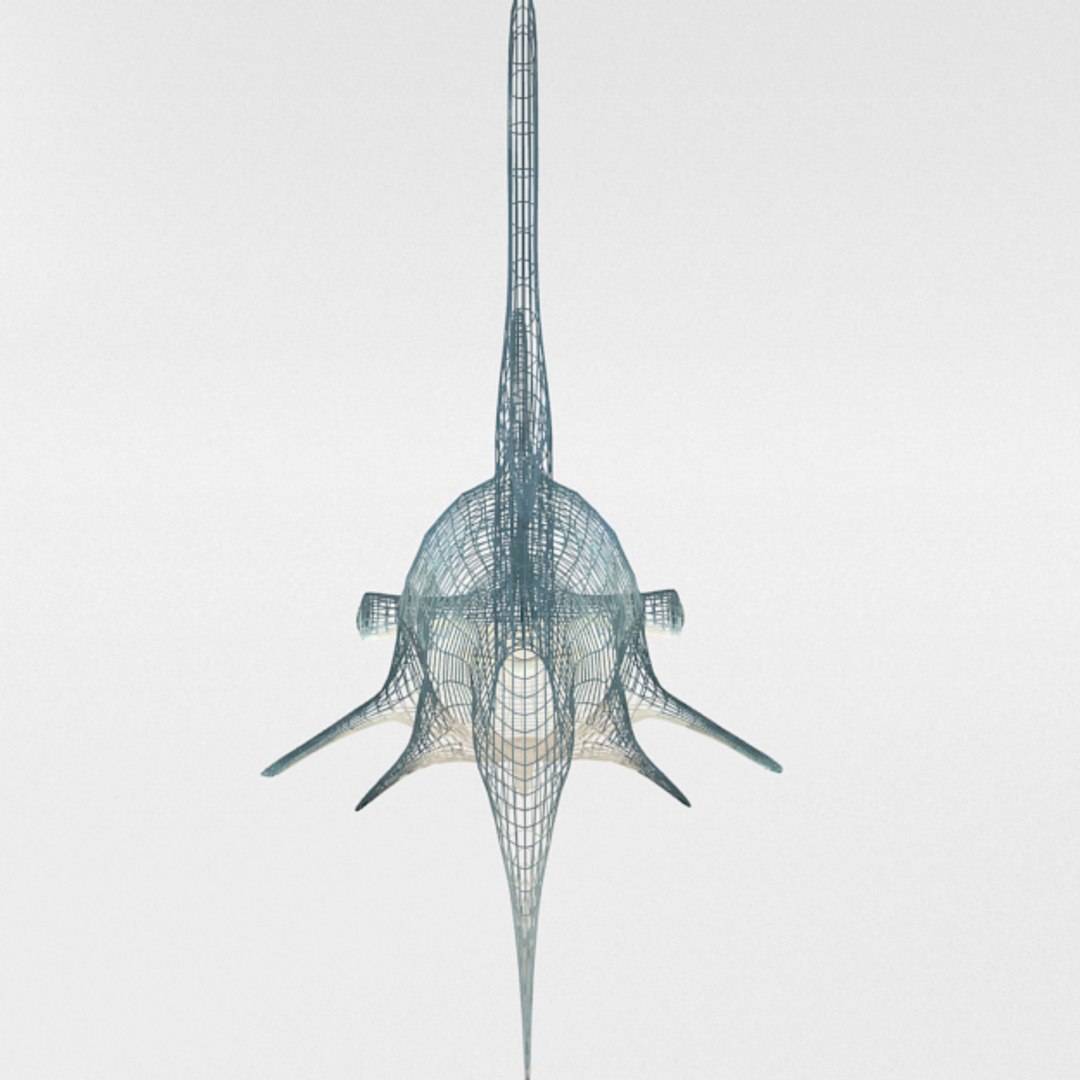 3D 16 marine animals model https://p.turbosquid.com/ts-thumb/7y/fXd0sS/UloUUCTg/hammerheadshark_realistic_back_wire/png/1536893226/1920x1080/fit_q87/b59e19d4cef397961763f5095ee6e8060a256960/hammerheadshark_realistic_back_wire.jpg