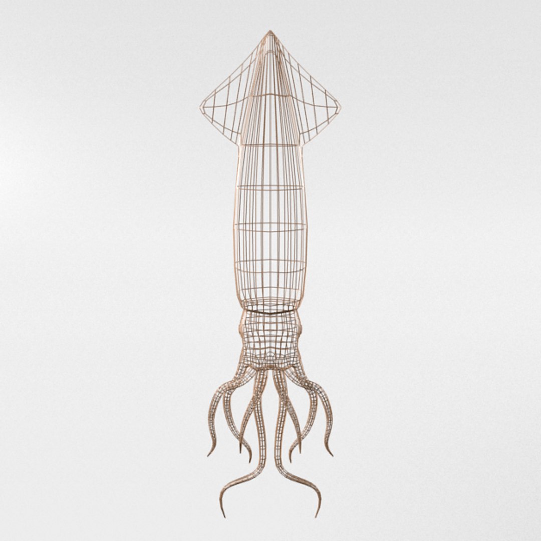3D 16 marine animals model https://p.turbosquid.com/ts-thumb/7y/fXd0sS/VQKwKaLR/squid_realistic_front_wire/png/1536893227/1920x1080/fit_q87/68c0ca0c6e34ee9a9ea1a70436c62dc1ab81e079/squid_realistic_front_wire.jpg