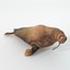 16 Marine Animals Pack - Animal Collection