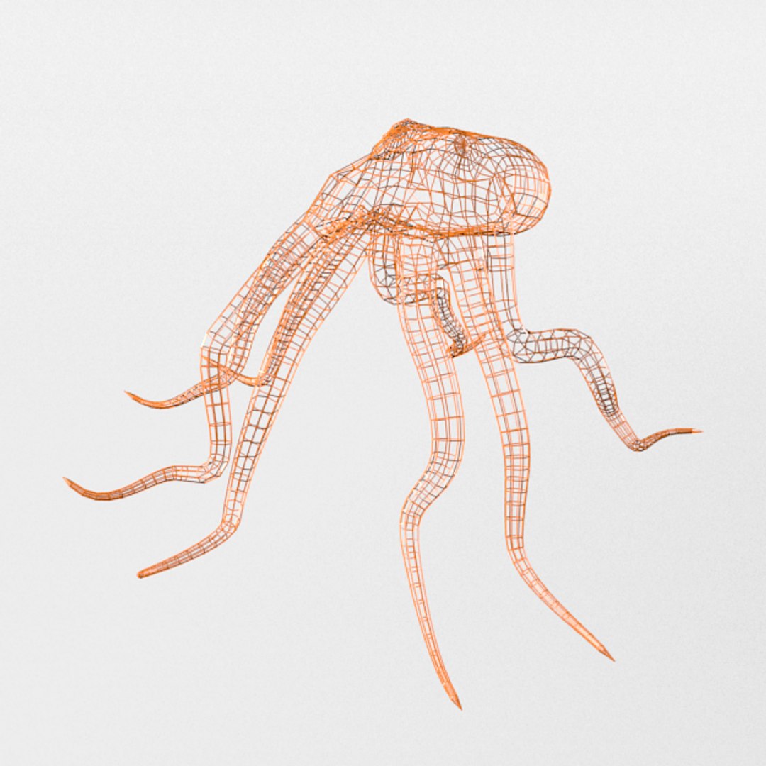3D 16 marine animals model https://p.turbosquid.com/ts-thumb/7y/fXd0sS/XPUOoO7O/octopus_realistic_wire/png/1536893227/1920x1080/fit_q87/1c156e0868ccb00ca56e8c97c91fada6cbf8c5a1/octopus_realistic_wire.jpg