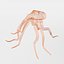 16 Marine Animals Pack - Animal Collection
