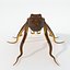16 Marine Animals Pack - Animal Collection