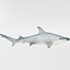 16 Marine Animals Pack - Animal Collection