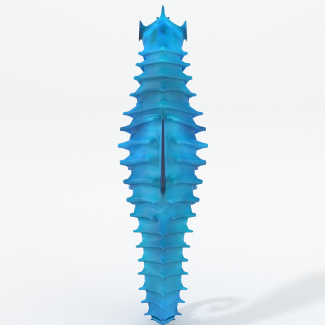 3D 16 marine animals model https://p.turbosquid.com/ts-thumb/7y/fXd0sS/dscNmOZv/seahorse_realistic_back/png/1536893227/1920x1080/fit_q87/930a554c453d034146e5237a28889af19707199b/seahorse_realistic_back.jpg