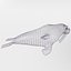 16 Marine Animals Pack - Animal Collection