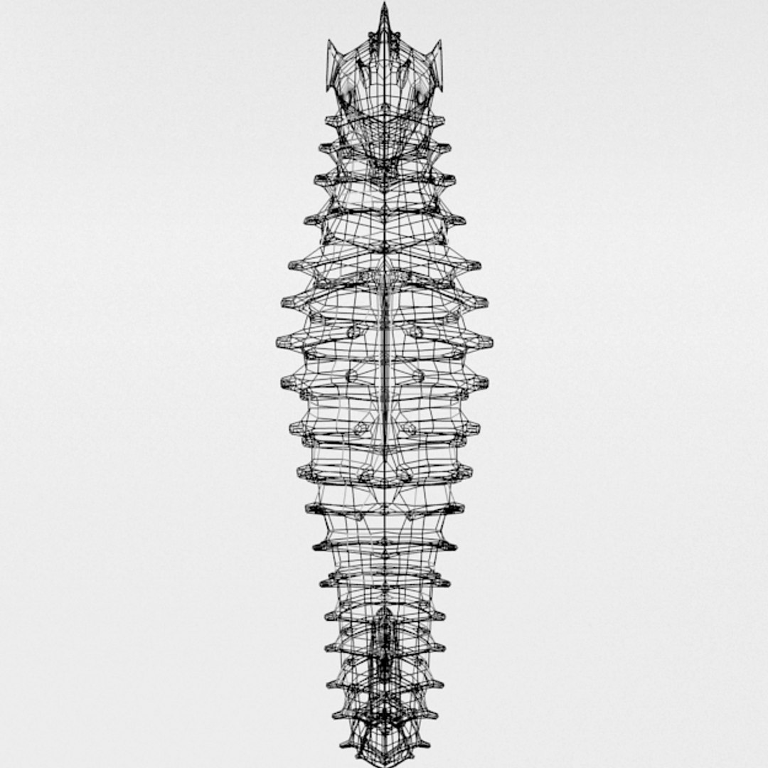 3D 16 marine animals model https://p.turbosquid.com/ts-thumb/7y/fXd0sS/hYUp7bnU/seahorse_realistic_back_wire/png/1536893227/1920x1080/fit_q87/692be6b823dde5fe10f4bda8420a15566faed7ee/seahorse_realistic_back_wire.jpg