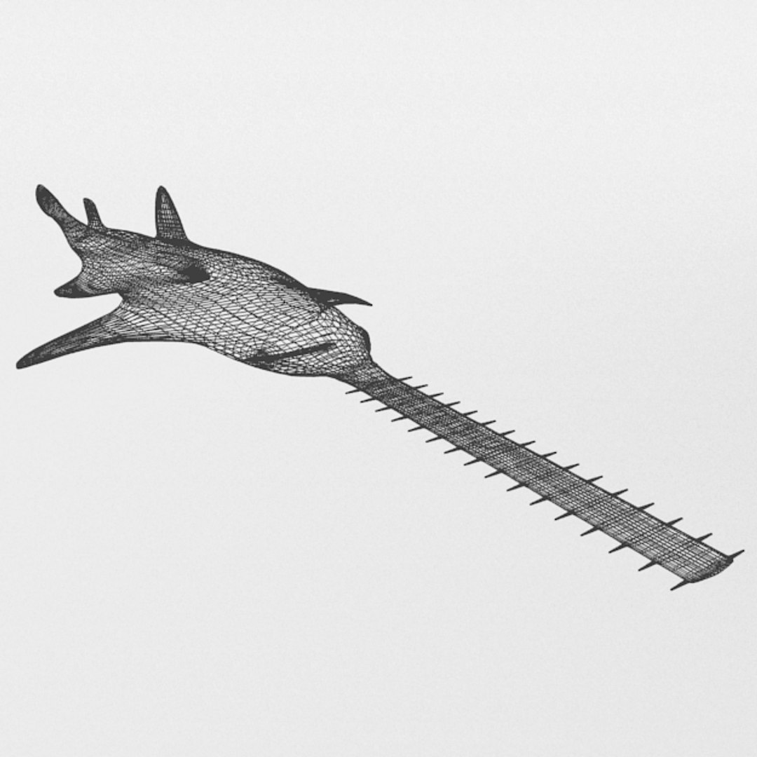 3D 16 marine animals model https://p.turbosquid.com/ts-thumb/7y/fXd0sS/iQpyrdc3/sawshark_realistic_wire/png/1536893227/1920x1080/fit_q87/040e0bc1241ea92ac39f6b3c464f82e298b1bf5c/sawshark_realistic_wire.jpg