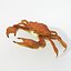 16 Marine Animals Pack - Animal Collection