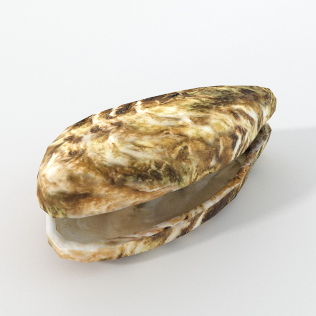 3D 16 marine animals model https://p.turbosquid.com/ts-thumb/7y/fXd0sS/nadL5LKn/oyster_realistic/png/1536893227/1920x1080/fit_q87/1ce31621dc211a59a7cf3c95e450717fa12bda73/oyster_realistic.jpg