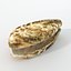 16 Marine Animals Pack - Animal Collection