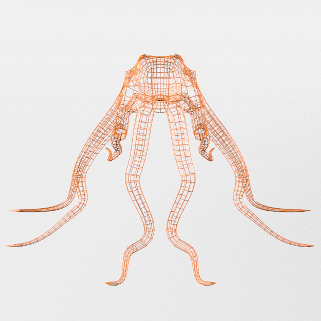 3D 16 marine animals model https://p.turbosquid.com/ts-thumb/7y/fXd0sS/ofCa4uoG/octopus_realistic_front_wire/png/1536893227/1920x1080/fit_q87/1a95f88167deabdab7f3b66405baea43c073031e/octopus_realistic_front_wire.jpg