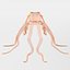 16 Marine Animals Pack - Animal Collection