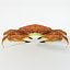 16 Marine Animals Pack - Animal Collection