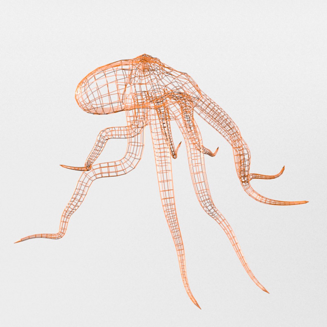 3D 16 marine animals model https://p.turbosquid.com/ts-thumb/7y/fXd0sS/qm4Key5w/octopus_realistic_side_wire/png/1536893227/1920x1080/fit_q87/33e4269ac6b26af1b2896acaa988c8ca92544b59/octopus_realistic_side_wire.jpg