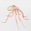 16 Marine Animals Pack - Animal Collection