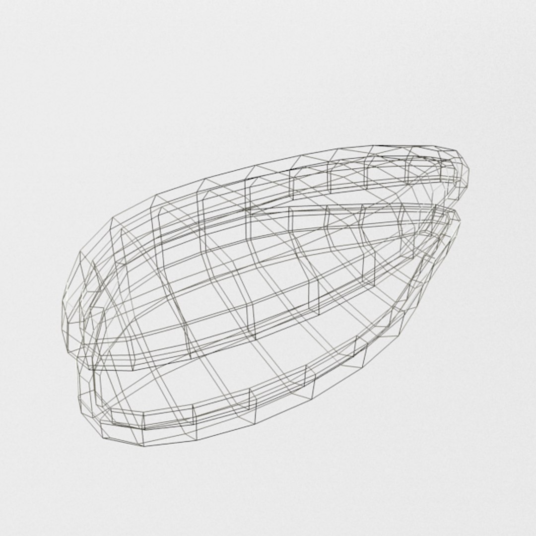 3D 16 marine animals model https://p.turbosquid.com/ts-thumb/7y/fXd0sS/rMtlkWFq/oyster_realistic_wire/png/1536893227/1920x1080/fit_q87/fc87ba001ec921f6d11565b7584fa230b14bec6f/oyster_realistic_wire.jpg
