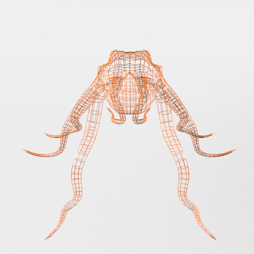 3D 16 marine animals model https://p.turbosquid.com/ts-thumb/7y/fXd0sS/uZyOJ5IF/octopus_realistic_back_wire/png/1536893226/1920x1080/fit_q87/166aab596884ef41ec6863771c055d5679213561/octopus_realistic_back_wire.jpg
