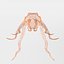 16 Marine Animals Pack - Animal Collection