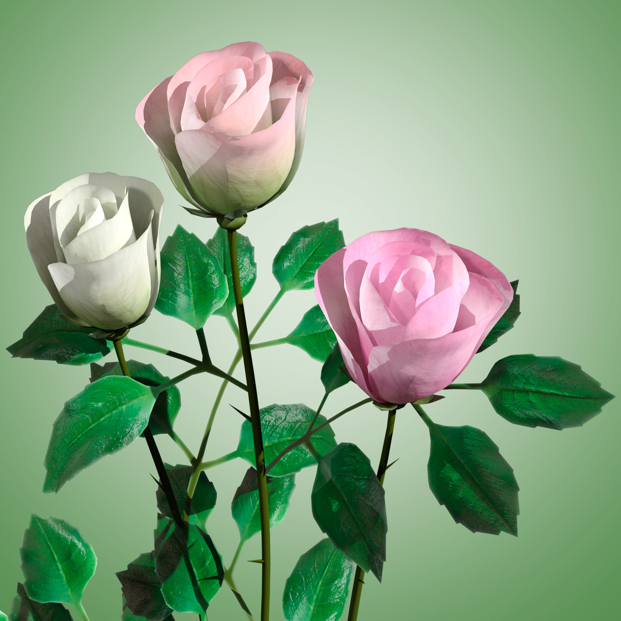 3d-set-of-rose-flowers-in-pink-light-pink-and-white-natural-color-model