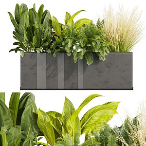 3D plant vol 829 - pothos - palm - grass